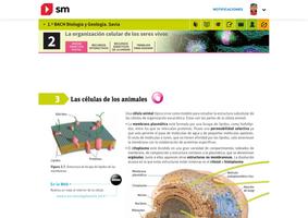 SM Aprendizaje Conecta y Savia screenshot 2