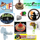 Pulaar Radio Stations AM FM أيقونة