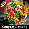 Congratulations Gif 2020(Image & Status)