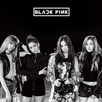 Blackpink Offline Song Lyrics APK