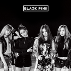 Blackpink Offline Song Lyrics ícone