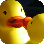 ”Narcissistic Test