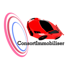 ConsortImmobiliser DriveIntervent biểu tượng