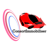 ConsortImmobiliser DriveIntervent icon