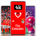 Benfica Wallpaper HD 4k 2023 icon