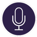 APK audio launcher