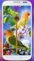 Las aves pantalla de bloqueo. Poster