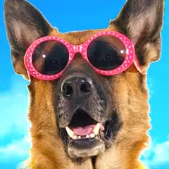 Funny animals. Funny pets. Funny movies Icon
