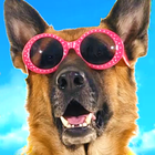 Animales divertidos. Películas divertidas icono