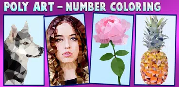 Poly Art Number Coloring – Puz