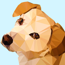 Poly Art Number Coloring – Puz-APK