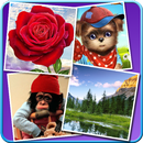 Puzzles APK