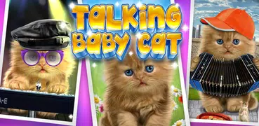 Talking baby cat. Talking game