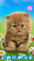 Talking baby cat. Talking game постер