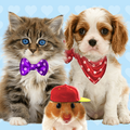 Talking cat. Talking puppy.