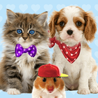 Talking cat. Talking puppy. আইকন