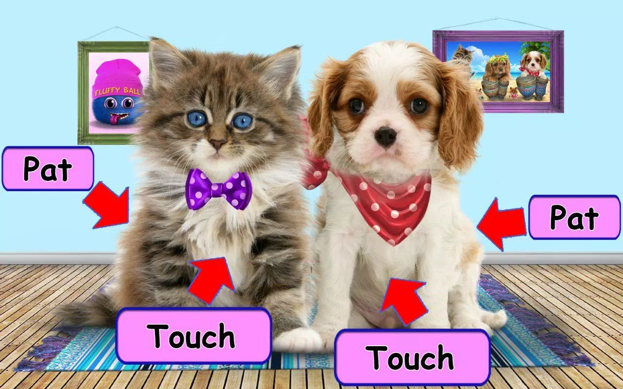 Download do APK de Vídeos de animais engraçados - gatos, cachorros para  Android