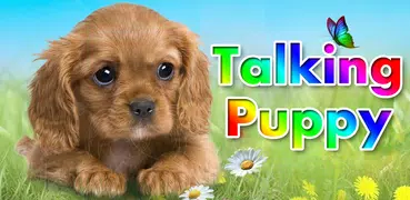 Talking puppy