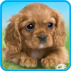 Talking puppy APK download