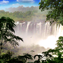 Cascada de pantalla en vivo. c APK