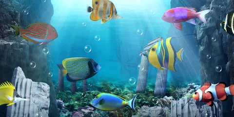 Aquarium live wallpaper APK .49 for Android – Download Aquarium live  wallpaper APK Latest Version from 