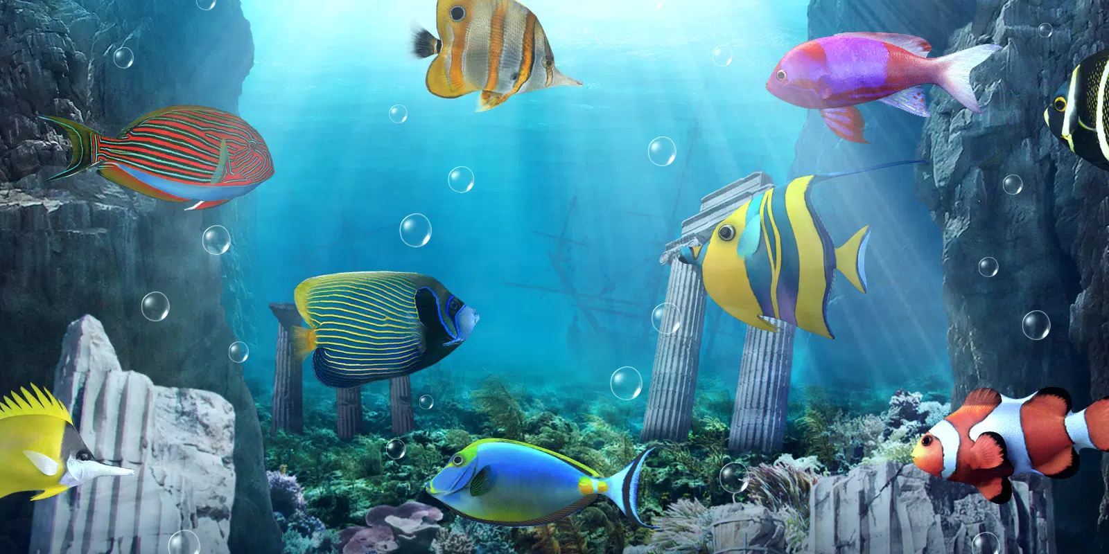 Android向けの水族館ライブ壁紙 Apkをダウンロードしましょう