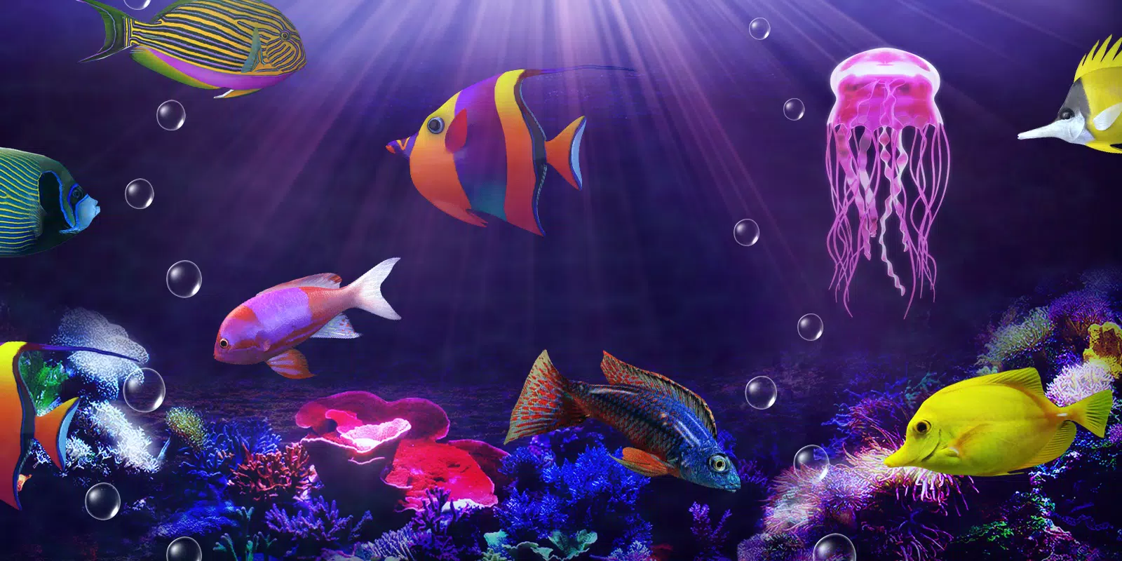 Android向けの水族館ライブ壁紙 Apkをダウンロードしましょう