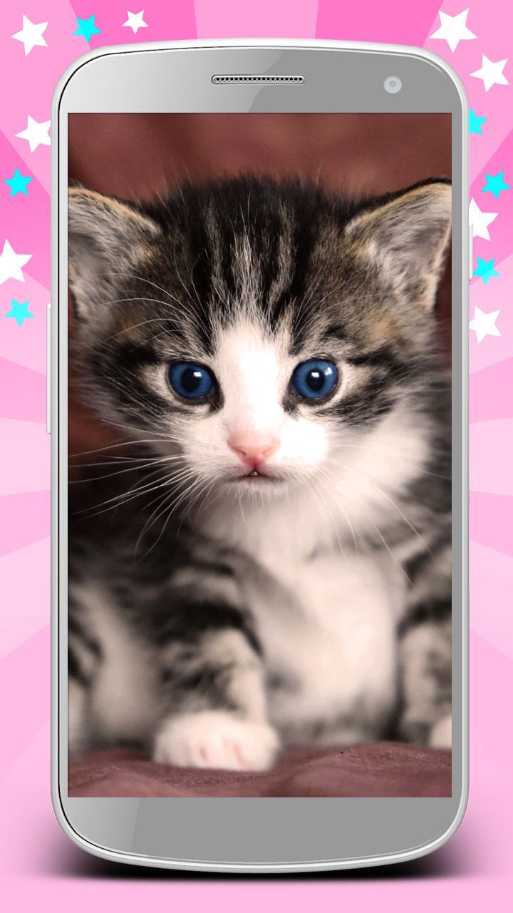 Girly Wallpapers Leuke En Mooie Achtergronden For Android Apk Download