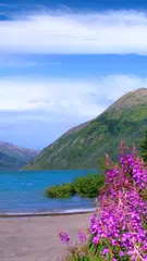 Mountains APK download