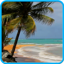 Playa y mar. APK