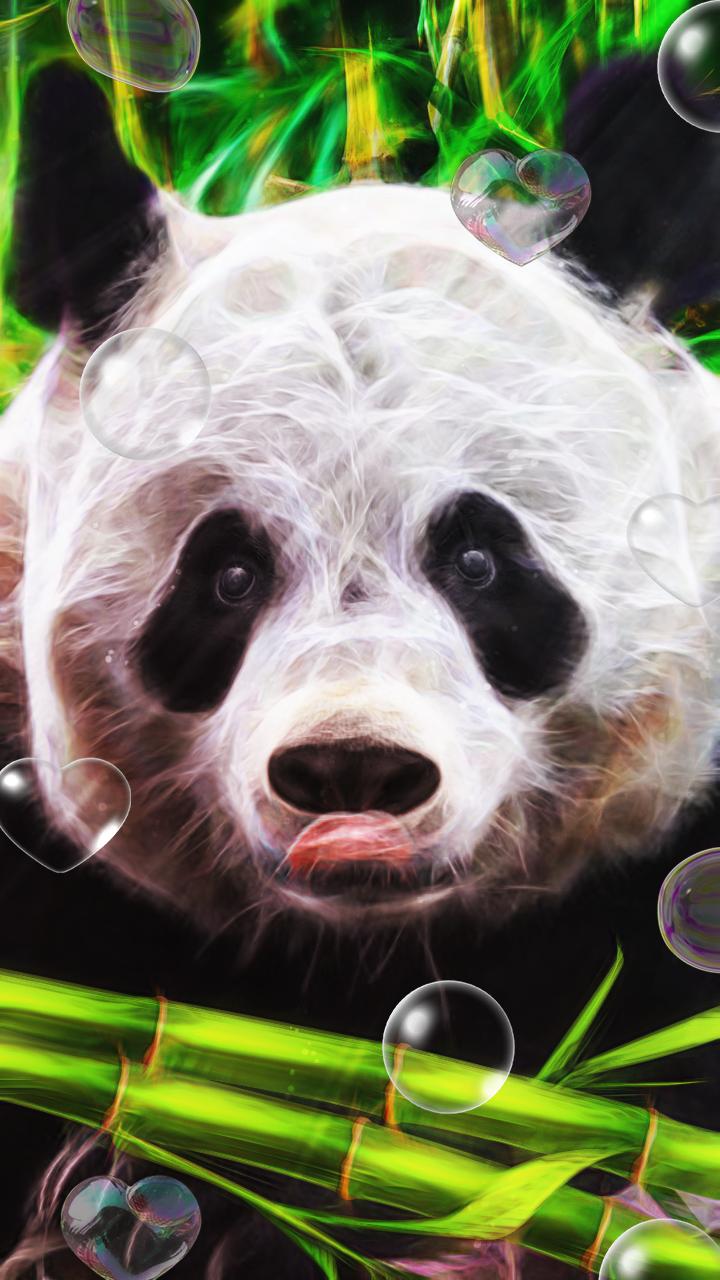 Живая панда цена в россии. Панда Живая. Живые обои Панда. Панда лайв. Живые Панда заставка на телефон.