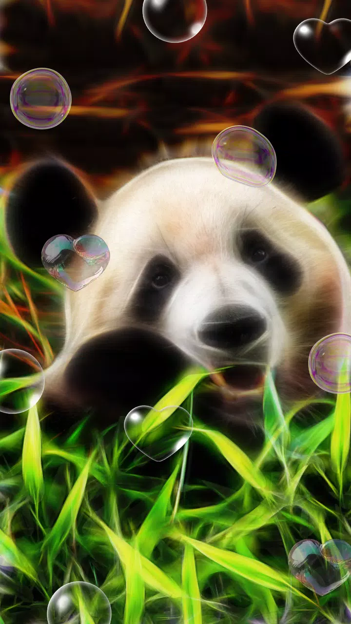 Panda, Hình Nền Sống. Cho Android - Tải Về Apk