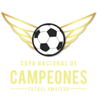Copa Nacional De Campeones ícone