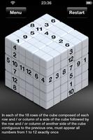 Coppo's Cube - Logic Game Sudo screenshot 3
