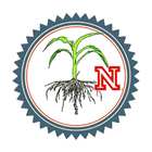 BT Corn Rootworm biểu tượng