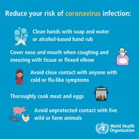 Coronavirus Statistics Screenshot 1