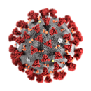 Corona virus aplikacja