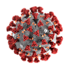 coronavirus ícone