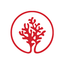 Coral Beach Club APK