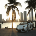Miami Auto