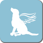 레인보우브릿지 icono