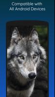 برنامه‌نما Gray Wolf Wallpapers HD عکس از صفحه