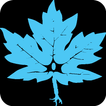 CAN - ACN 2024