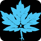 CAN - ACN 2024 icon