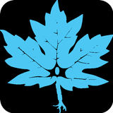 CAN - ACN 2024 icon