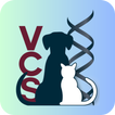 VCS Events