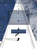 پوستر Giant Slalom