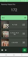 Rummy Vision Pro скриншот 3