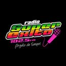 Radio Super Exito Satipo APK