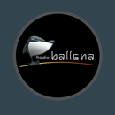 Radio Ballena Perú APK